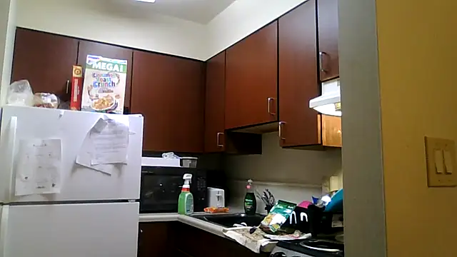 Snapshot of DreamvilleINC chatting on November 2025 11:51:02 PM DreamvilleINC online show from November 2025 11:51:02 PM