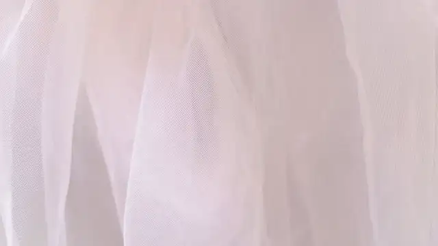 Mia--meow online show from December 2024 06:49:01 PM