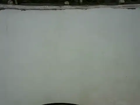 michel sc online show from January 2025 08:43:01 AM