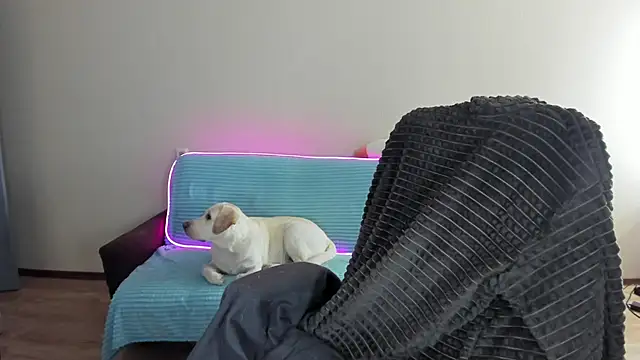 Snapshot of Liam_sexy1 chatting on December 2024 08:06:02 AM Liam sexy1 online show from December 2024 08:06:02 AM