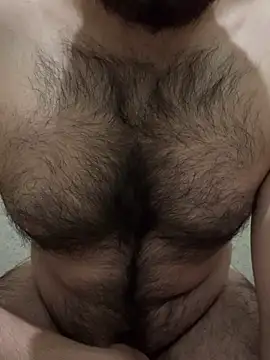 Samarth 0081 online show from January 2025 12:39:02 PM