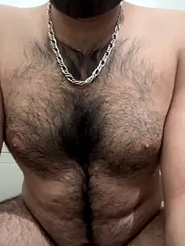 Samarth 0081 online show from December 2025 12:22:01 PM