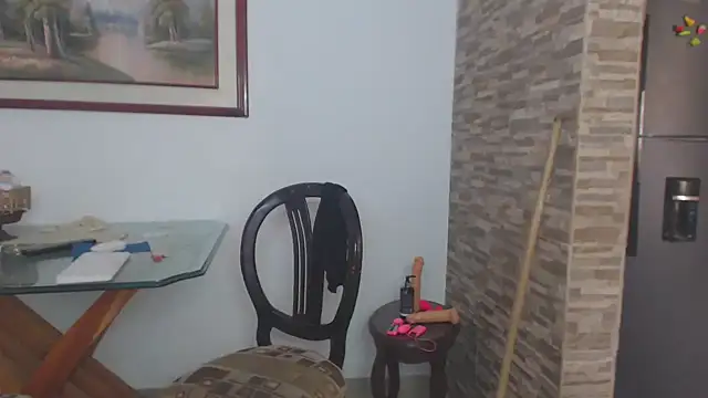 Snapshot of brigitht chatting on February 2025 05:37:01 PM brigitht online show from February 2025 05:37:01 PM