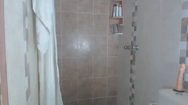 Snapshot of brigitht chatting on March 2025 03:02:01 PM brigitht online show from March 2025 03:02:01 PM