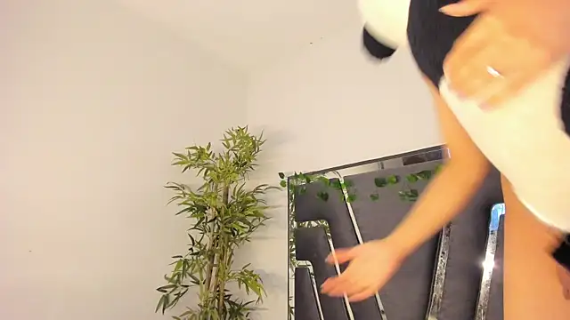 Black Rose2 online show from February 2025 11:44:02 AM