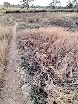 anjutandan499 online show from April 2026 12:22:02 PM