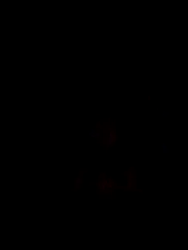 PITBuk 708 online show from September 2025 02:00:02 AM