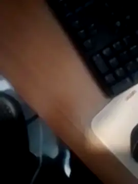 betinhodelas online show from December 2024 02:16:02 PM