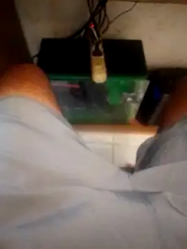 betinhodelas online show from October 2025 05:14:01 PM