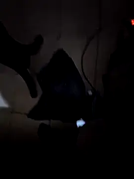 Snapshot of everyoneneeds chatting on December 2024 07:03:01 AM everyoneneeds online show from December 2024 07:03:01 AM