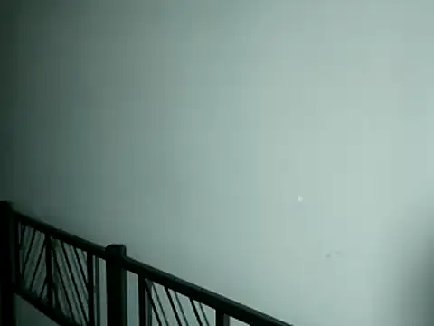 100Tauros online show from November 2025 10:30:01 PM