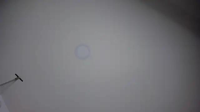 Snapshot of ChloeConnorr chatting on December 2024 10:23:02 PM ChloeConnorr online show from December 2024 10:23:02 PM