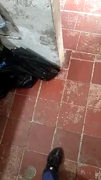 mendelicius online show from November 2025 05:47:02 PM