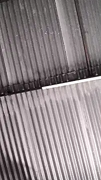 mendelicius online show from February 2026 01:27:02 PM