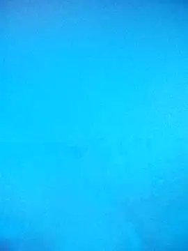 skrigul12 online show from February 2026 03:31:01 PM