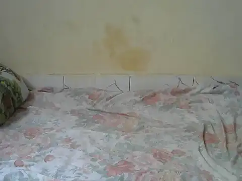 Zenath  online show from February 2026 08:58:02 AM