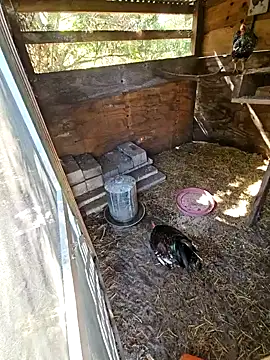 Snapshot of Mistress_Melissa chatting on February 2025 04:41:02 PM Mistress Melissa online show from February 2025 04:41:02 PM