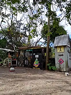 Snapshot of Mistress_Melissa chatting on February 2025 03:04:01 PM Mistress Melissa online show from February 2025 03:04:01 PM