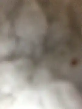 indie-rayne online show from January 2025 09:05:01 PM