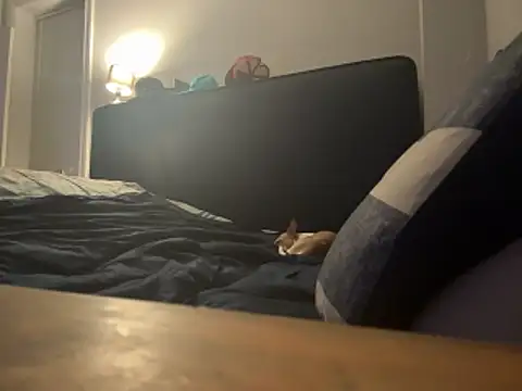 ChiRaqb8 online show from April 2026 03:33:01 AM