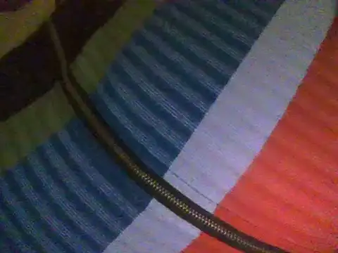 Snapshot of RoxiRedXXX chatting on February 2025 06:04:02 PM RoxiRedXXX online show from February 2025 06:04:02 PM