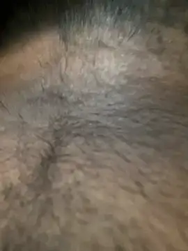 slblackboy12 online show from March 2026 08:14:02 AM