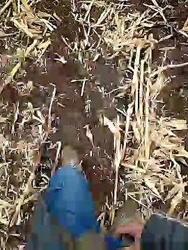 murokkk31 online show from January 2025 06:46:01 AM