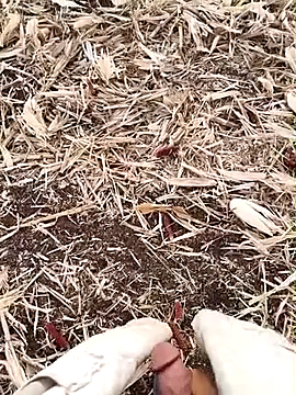 murokkk31 online show from September 2025 02:55:02 AM