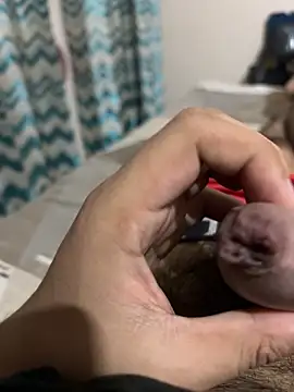 Snapshot of thecockybouy chatting on March 2025 04:37:02 AM thecockybouy online show from March 2025 04:37:02 AM