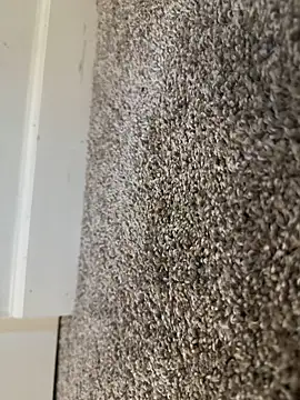 Snapshot of Big-dick_1 chatting on December 2024 03:20:02 PM Big-dick 1 online show from December 2024 03:20:02 PM