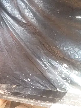 Alanagracia online show from April 2026 02:30:01 PM