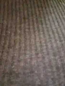 lamorbosa37 online show from February 2026 08:13:01 PM