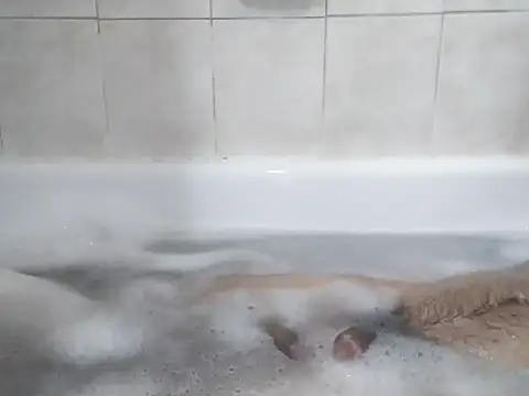 Snapshot of 69LanceRomance69 chatting on February 2026 09:20:01 AM 69LanceRomance69 online show from February 2026 09:20:01 AM