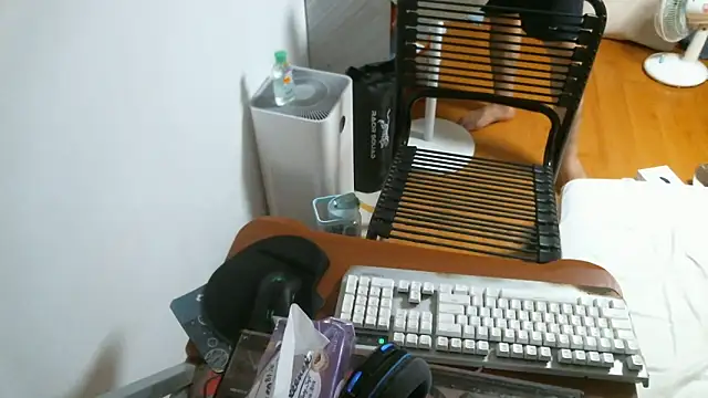 Stellan 0412 online show from February 2026 05:31:01 PM