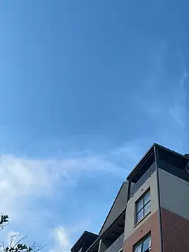 Dime-   online show from October 2025 03:33:01 PM