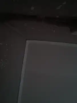 wlammi ptr online show from December 2025 10:22:02 AM