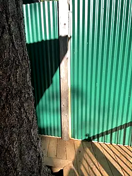 Snapshot of twist699 chatting on November 2025 06:07:02 PM twist699 online show from November 2025 06:07:02 PM