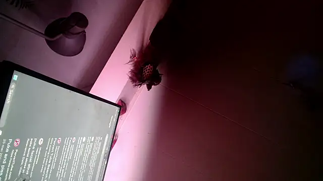 Gigadickman online show from December 2024 06:00:01 AM