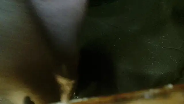 Gigadickman online show from October 2025 02:31:02 AM