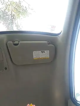 Snapshot of cinnaminnie chatting on February 2025 09:37:01 PM cinnaminnie online show from February 2025 09:37:01 PM