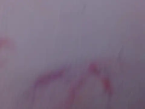 Mily pao1 online show from February 2026 11:11:02 PM