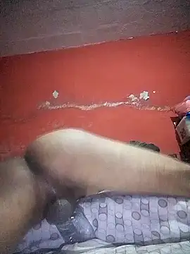 Snapshot of VL25DN26 chatting on December 2024 01:33:02 PM VL25DN26 online show from December 2024 01:33:02 PM