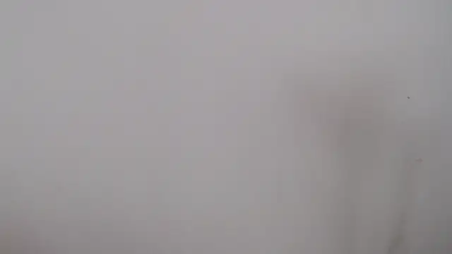 leoytessa 10 online show from December 2024 09:17:01 PM