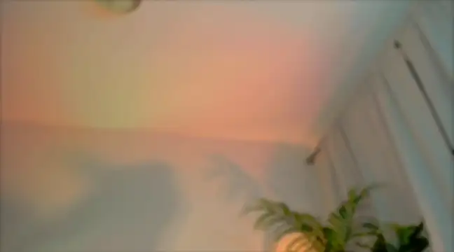  cherry bloss  online show from March 2025 12:29:02 AM