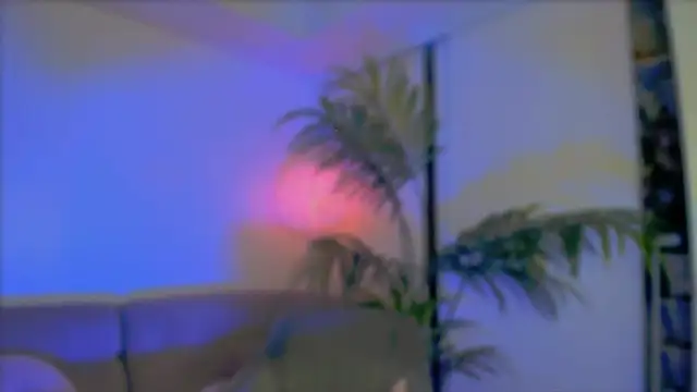  cherry bloss  online show from October 2025 02:20:02 AM