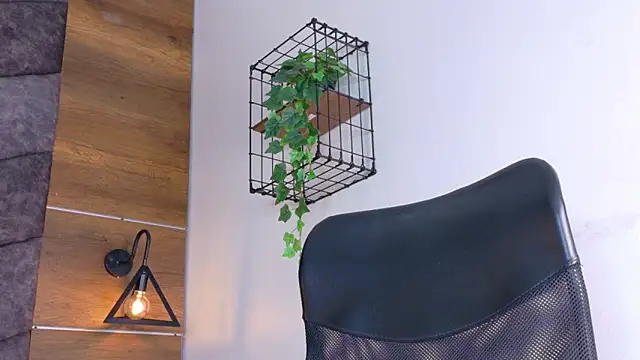 AbbyWathson online show from January 2026 11:49:01 AM