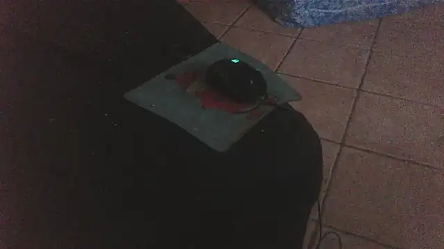 Snapshot of FJcouple chatting on January 2025 12:09:01 AM FJcouple online show from January 2025 12:09:01 AM