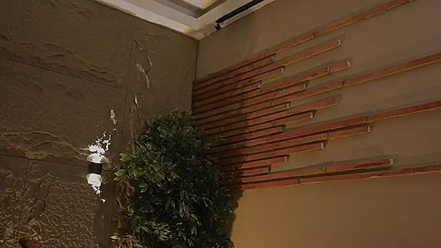 Snapshot of Logan_Varela chatting on November 2025 12:56:01 AM Logan Varela online show from November 2025 12:56:01 AM