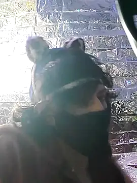 gurlnips online show from March 2025 06:54:01 AM