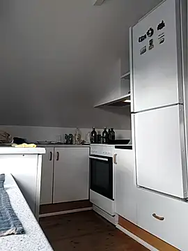 Analcholic online show from November 2025 10:17:01 AM